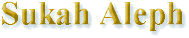 Sukkah 01